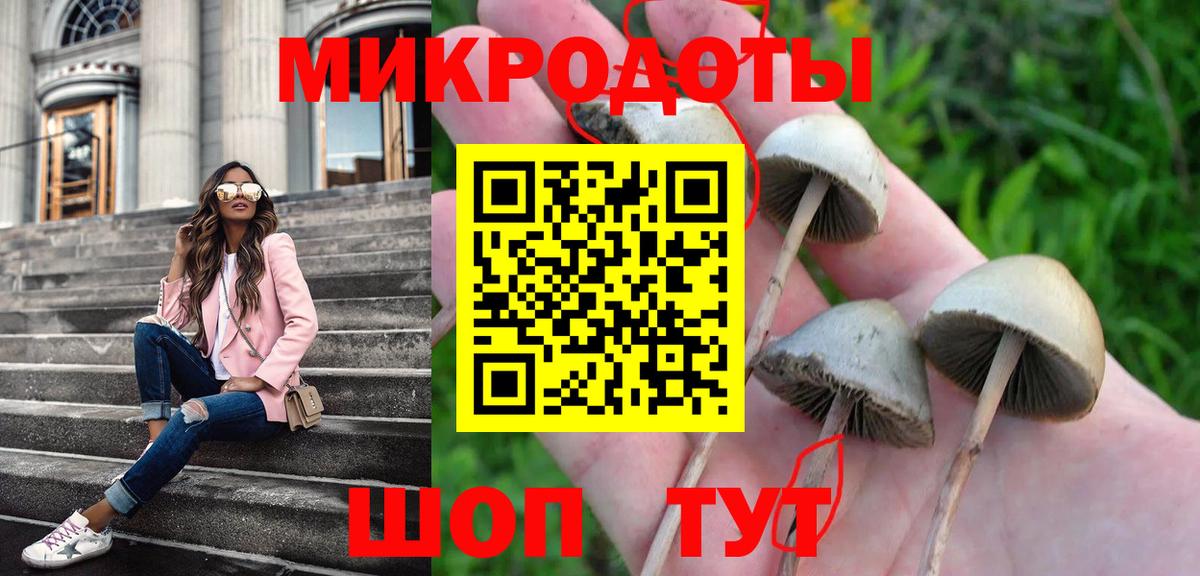 дарнет шоп  Псилоцибиновые грибы Magic Shrooms  Галлюциногенные грибы GOLDEN TEACHER  Вход с VPN  Бийск 