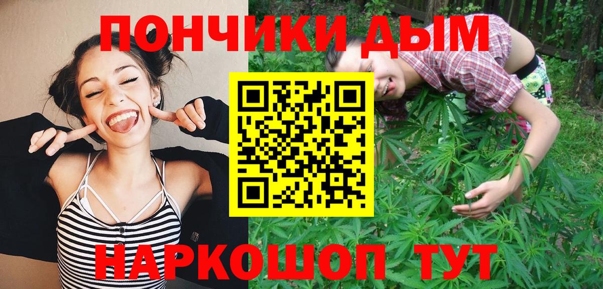 НБОМе Бийск